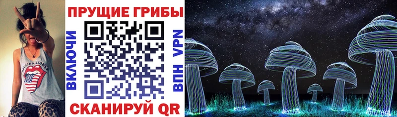 Галлюциногенные грибы MAGIC MUSHROOMS даркнет сайт Спас-Деменск